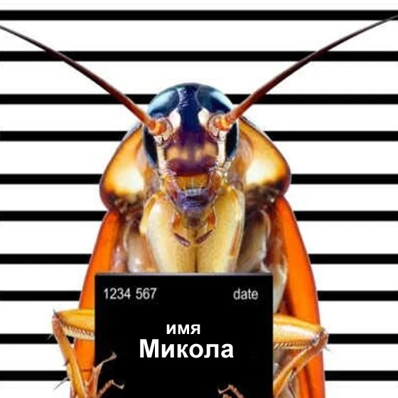 Прибирання після дезінсекції тарганів